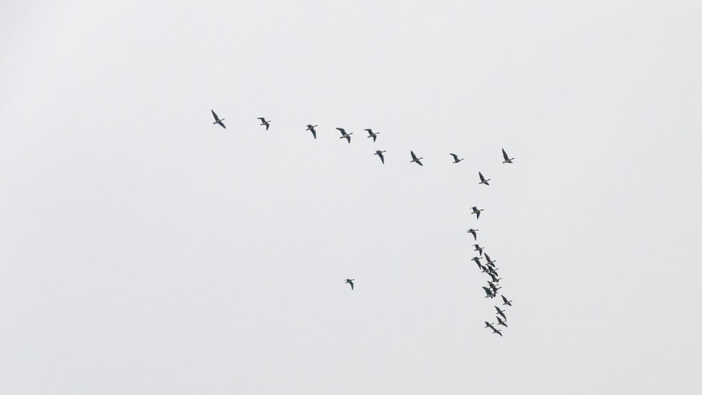 161015_1011_hhb_0127