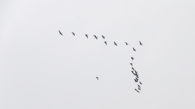 161015_1011_hhb_0127